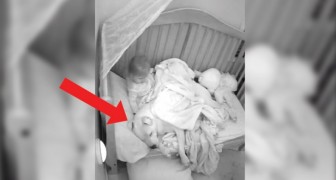 Das Mädchen schläft mit einem 50 kg Pitbull im Kinderbett: Vor dem Einschlafen deckt sie ihn zu, um ihn warm zu halten