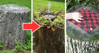 16 soluzioni ingegnose per sfruttare un tronco d'albero tagliato in giardino