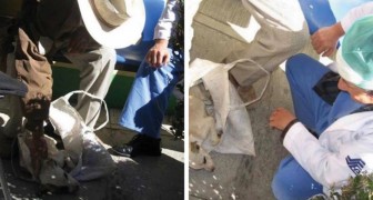An elderly man brings his sick dog to a hospital for humans and the kind doctors decide to treat him anyway