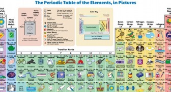 Questa tavola periodica illustrata mostra come ogni giorno interagiamo con gli elementi chimici