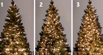 I 3 metodi migliori per mettere correttamente le luci sull'albero di Natale