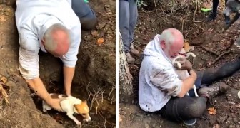 Este homem chora de emoção quando salva uma cachorrinha presa na toca de uma raposa