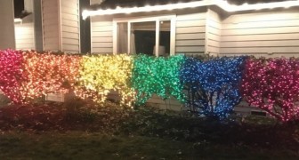 Una donna ha creato la bandiera LGBTQ con 10.000 luci di Natale per mandare un messaggio al suo vicino omofobo
