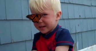 They Release their beautiful butterfly but something unexpected happens
