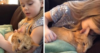 In this moving video, a 4-year-old girl sings a gentle song to comfort her terminally-ill cat