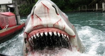 El paseo en barco perseguida por un tiburon: la atraccion que propone uno de los film mas famosos de la historia