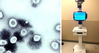 Coronavirus: In den USA hilft ein spezieller Roboter den Ärzten, einen infizierten Mann mit Coronavirus zu behandeln
