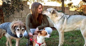 Esta mulher adota dos canis somente os cachorros mais velhos, dando a eles amor e afeto nos últimos anos de suas vidas