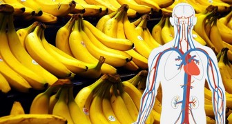 Bananer är en riktig energikälla för din kropp, 7 viktiga egenskaper som gör dem hälsosamma