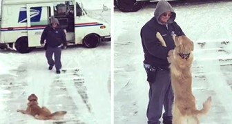 Elke dag wacht deze hond op de postbode op de oprit om hem een geweldige knuffel te geven