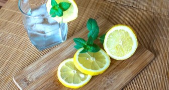 Vad som händer i kroppen när vi regelbundet dricker citronvatten