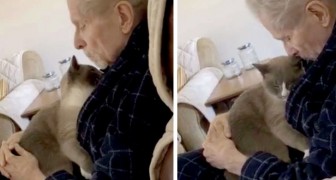 Este tierno gatito consuela todos los días a su patrón enfermo de Alzheimer sin abandonarlo