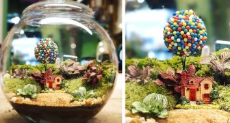 Questo artista ricrea piccoli mondi naturali e autosufficienti all'interno di bottiglie e ampolle di vetro