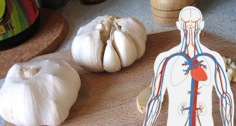 5 benefits of garlic, a plant with antibacterial and nourishing properties that is a friend to our health