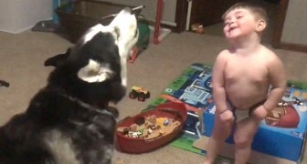 Een 2-jarige jongen praat met zijn hondenvriend en geeft op zijn zachtst gezegd leven aan een hilarische scène