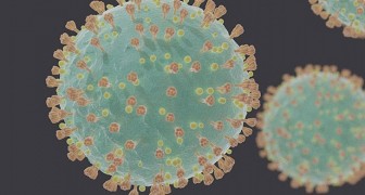 Coronaviruset: WHO bekräftar att viruset inte smittar via luften, utan via salivdroppar