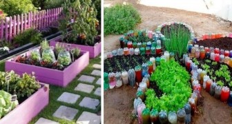 10 bonnes solutions DIY pour créer de magnifiques jardins potagers colorés