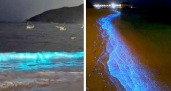 Mit der Blockade menschlicher Aktivitäten glänzen die Wellen am Strand von Acapulco nach mehreren Jahrzehnten wieder