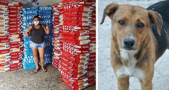 Een bedrijf schenkt tijdens de pandemie meer dan 15 ton voer voor huisdieren aan alle zwerfhonden in nood
