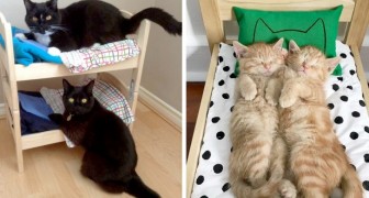 IKEA mette in vendita degli adorabili lettini di legno per bambole: le persone li acquistano per i loro gatti