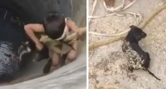 En modig liten pojke tog sig ned i en brunn för att rädda en valp som höll på att drunkna