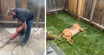 Boyfriend spends entire weekend building the perfect yard for his girlfriend's dog 