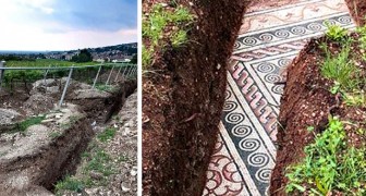 Tra le vigne della Valpolicella viene alla luce un mosaico di 2000 anni fa:  apparteneva a una villa romana - Curioctopus.it