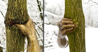Queste mani di bronzo furono attaccate agli alberi nel 1968: ora sono ancora lì ad afferrarli