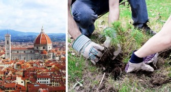 Piantare un albero per ogni vittima del Coronavirus: a Firenze un bellissimo progetto per ricordare chi non c'è più