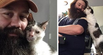 Un hombre salva a un gatito sordo abandonado: él no logra dejar de manifestarle amor y gratitud