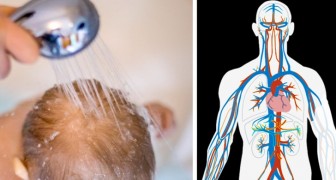 8 effets bénéfiques de la douche froide sur le corps et l'esprit