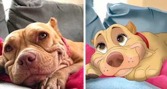 Una ragazza trasforma gli animali domestici in personaggi Disney: i suoi disegni ci riportano all'infanzia