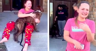A girl cries for joy when her parents adopt her favorite puppy from the shelter where she is a volunteer