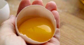 Le uova: dispense naturali di vitamine e proteine, sono consigliate per una dieta sana ed equilibrata
