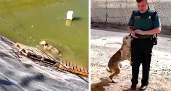 En hund som höll på att drunkna i en vattentank kan inte sluta tacka poliserna som räddade den