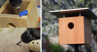 Il Semplice Metodo Per Costruire Con Le Vostre Mani Una Casetta Per Uccelli Dal Design Moderno Creativo Media