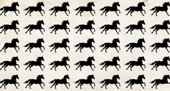 A fun visual game: among these horses there are some different ones, but few can find them immediately