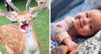 13 positive photos that might make your day a little brighter