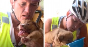 Una ciclista salva un cucciolo di poche settimane che era stato abbandonato sotto il sole e senza un riparo