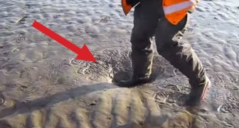 Esto es el extrañisimo fenomeno que se produce caminando sobre las arenas movedizas