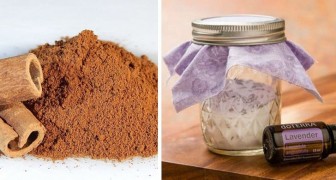 4 Metodi Facili E Naturali Per Creare Ottimi Deodoranti Per Ambienti Fai Da Te Creativo Media