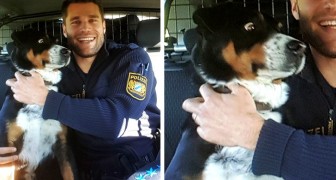 Um cachorro foge de casa e é preso: a foto com os agentes é hilária