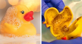 Rubberen speelgoed voor in bad kan een echt broeinest zijn voor schimmels en bacteriën: experts slaan alarm