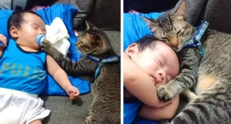 La dulcísima foto del gato babysitter que primero controla el chupete al bebé y luego lo abraza mientras duerme