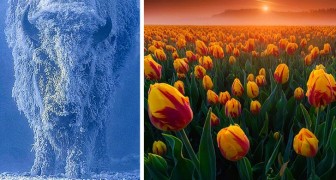 16 images impressionnantes confirment que Mère Nature est une artiste au talent incomparable