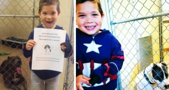 A 4-year-old boy wants to save 2 Pitbulls from a shelter but the state won't allow him: he adopts them remotely