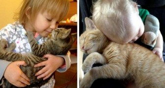 Cats and kids: 17 photos documenting the friendship that can arise between a feline and its little owner
