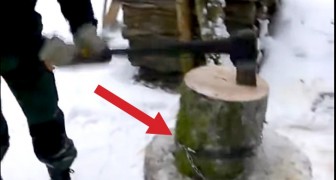 A man puts a chain around a tree trunk: this method of chopping wood is BRILLIANT.