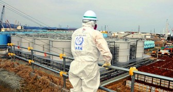 Radioaktives Wasser aus Fukushima wird ins Meer geleitet: Was sind die Risiken und Folgen?