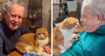 Die Katze der Tochter warnt ihren Vater, dass er Krebs hat und weigert sich, ihn allein zu lassen: 'Er weiß, dass sie ihn braucht'